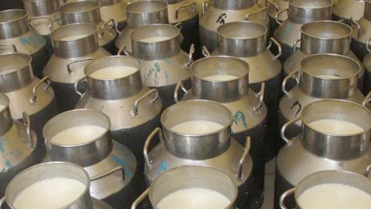 दूधको मूल्य वृद्धिः सुदूरपश्चिमका किसानलाई हर्ष न विस्मात