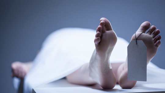 सांकेतिक तस्बिर