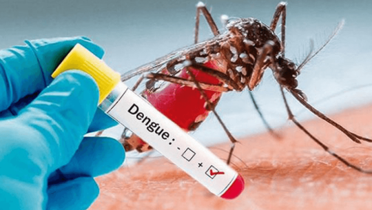सुदूरपश्चिममा डेंगु संक्रमण बढ्दै