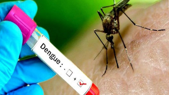 १९ हजार नाघ्यो डेङ्गु संक्रमितको संख्या