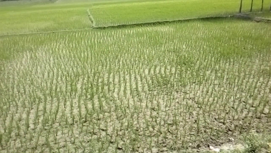 फाइल फोटो 