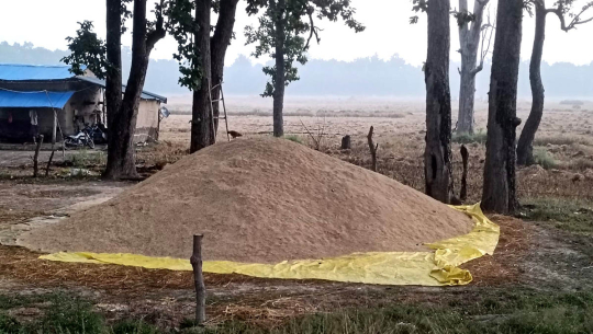 तस्विरः अविनाश चौधरी