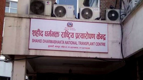 अङ्गदानसहित विश्व मिर्गाैला दिवस मनाइने