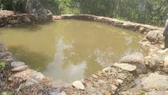स्याङ्जामा ‘एक सामुदायिक वन, एक पोखरी’ अभियान
