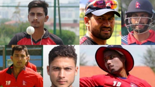 DPL auction a success