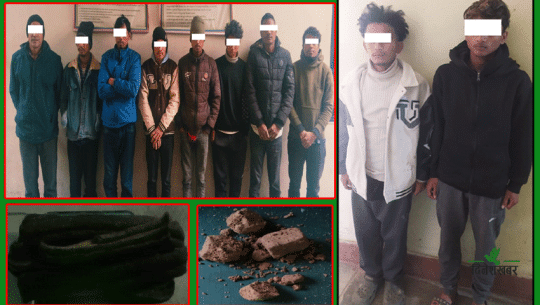 लागुऔषधको दलदलमा फस्दै सुदूरपश्चिममा युवा, एकैदिन १३ जना पक्राउ