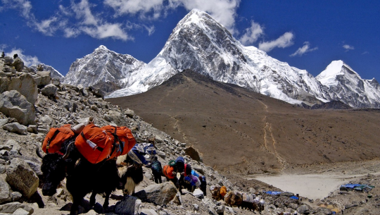 सगरमाथामा अहिलेसम्मकै धेरै आरोही