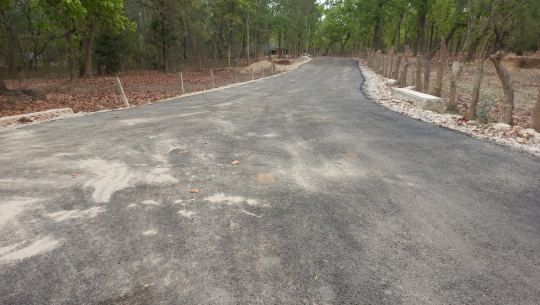 सडक पूर्वाधार विकासले फेरियो लालझाडीको मुहार