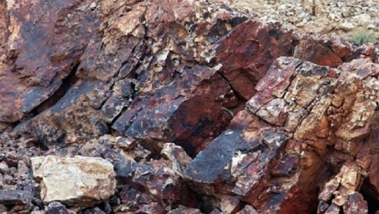 सांकेतिक तस्वीर