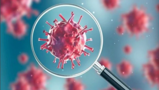 पछिल्लो २४ घण्टामा २४ जनामा कोरोना संक्रमण पुष्टि