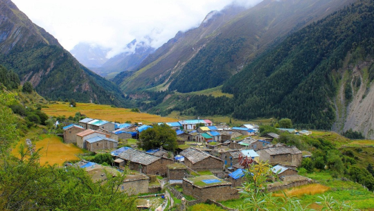 चौकीदार र सुरक्षाकर्मीको भरमा छाङ्गरु र तिङ्कर