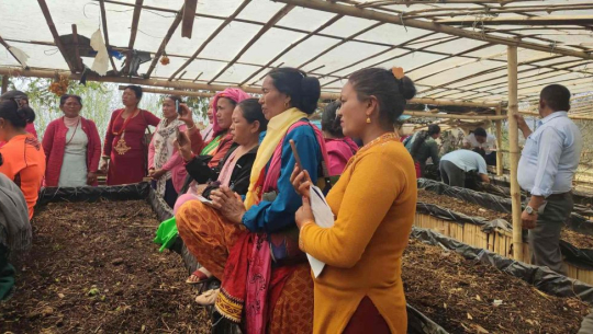 जैविकखेती प्रवद्र्धन गर्न गड्यौला मल उत्पादनमा जोड दिँदै पौवादुङमा