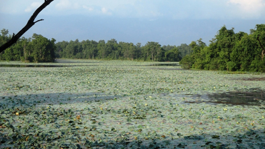 Kanchanpur and Kailali, a potential tourism circuit