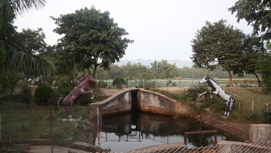 Ghodaghodi Lake’s Biodiversity Under Threat Amid Inadequate Conservation Budget