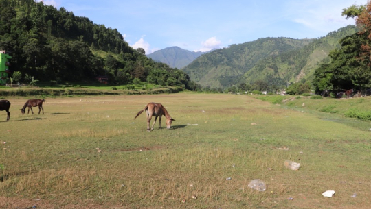 गोकुलेश्वर विमानस्थलको काम यसै वर्ष सुरु हुने