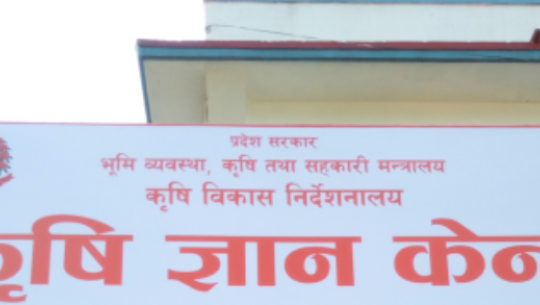 कृषि विकास कार्यालयहरु कृषि ज्ञान केन्द्र र पशुसेवा कार्यालय भेटेनरी अस्पतालको रुपमा सेवा दिदैं