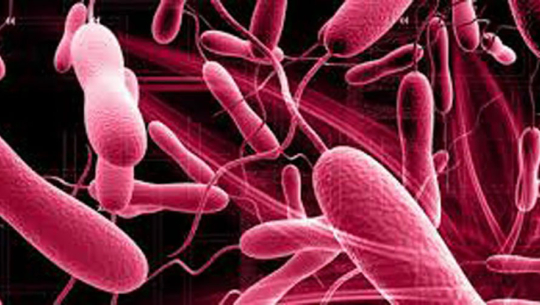 थप तीन जनामा हैजाको संक्रमण पुष्टि 