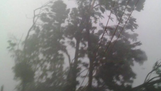 पहाडी तथा हिमाली क्षेत्रमा वर्षा र हिमपातको सम्भावना, तराईमा हुरीको चेतावनी