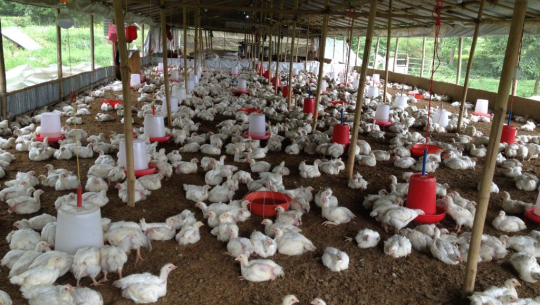 फाइल फोटो