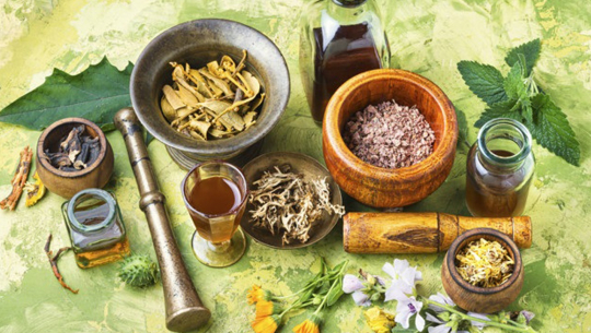 पाल्पामा आयुर्वेद सेवा लिने बढ्दै