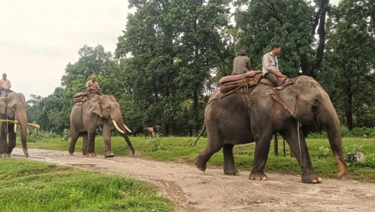 तस्बिरःभवानीदत्त भट्ट