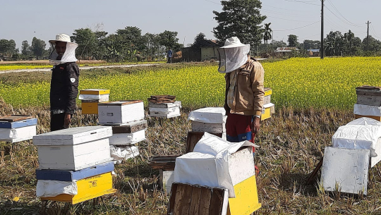 महबाटै करोडको कारोबार गर्नुहुन्छ विनोद हमाल