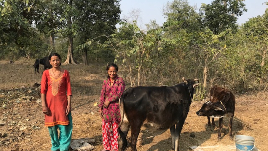 प्रदेश राजधानी गोदावरीमा अहिले के काम भइरहेको छ ?