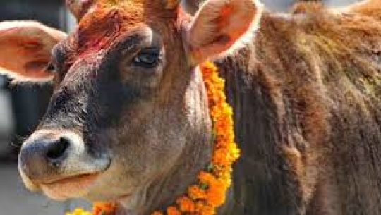 फाइल फोटो 