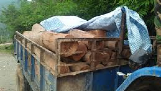 फाइल फोटो 