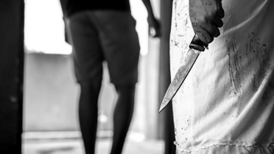 प्रेमिकाले गरिन् आफ्नै प्रेमिको हत्या, खुवाइन् कुकुरलाई