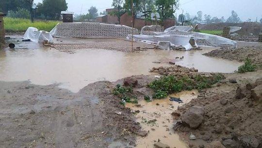 वर्षाका कारण कैलाली र कञ्चनपुरका इट्टा उद्योगमा फेरी करोडौको क्षती