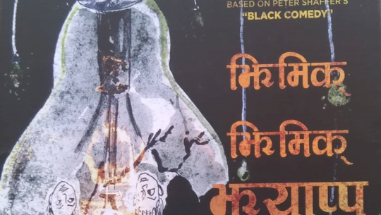 ‘झिमिक् झिमिक् झ्याप्प’ : विचलित युवाको कथा