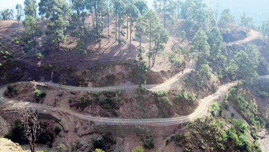 चिसापानी जंगलघाट सडक 