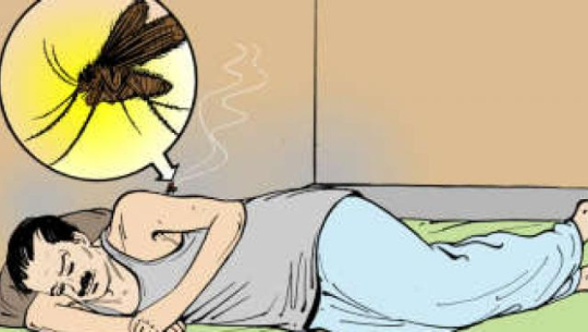 कालाजारका विरामी देखिन थाले (भिडियो सहित)