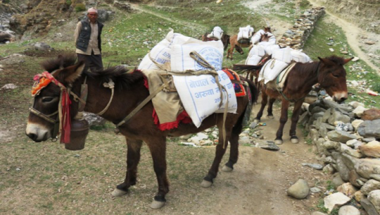 उत्तरी हुम्लामा खाद्य संकट