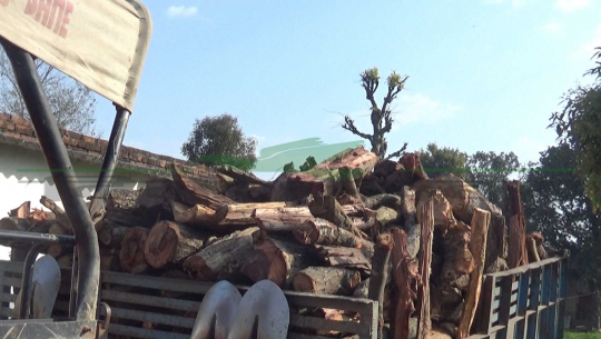 Six arrested for smuggling wood