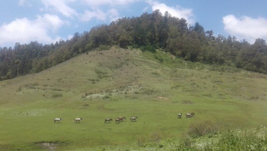 धर्तीको स्वर्ग अर्थात खप्तडको सौन्दर्यता (वृतचित्र सहित)