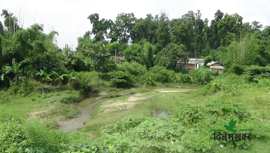 धनगढीमा खोला मिचेर सडक र घर निर्माण, जमिन भासिएपछि बस्ती जोखिममा