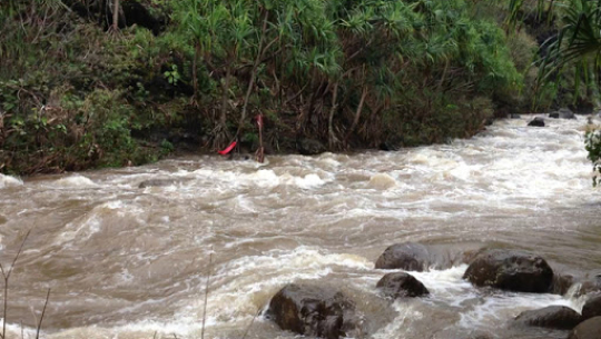 अछाममा एकै परिवारका चार जना खोलामा बगे