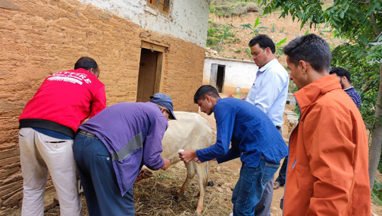 बैतडीमा फैलियो खोरेत रोग 