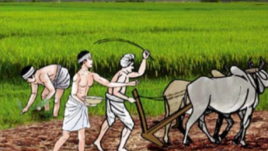 तीन कृषकलाई ‘भीमदत्त’ उत्कृष्ट कृषक पुरस्कार