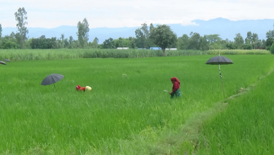 महालक्ष्मीले किसानलाई दियो २४ लाख
