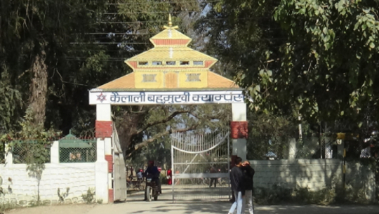 कैलाली क्याम्पसमा तीनवटा संकायमा विद्यार्थी भर्नादर घट्दो