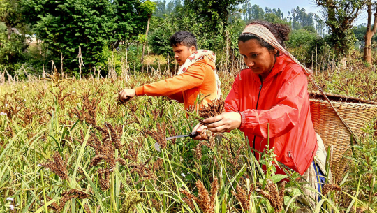 फाइल फोटो