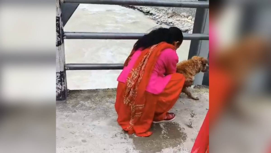 बझाङको पानकोट पुलबाट जिउँदो कुकुर नदीमा फाल्ने महिलाकाे खोजी गर्दै प्रहरी
