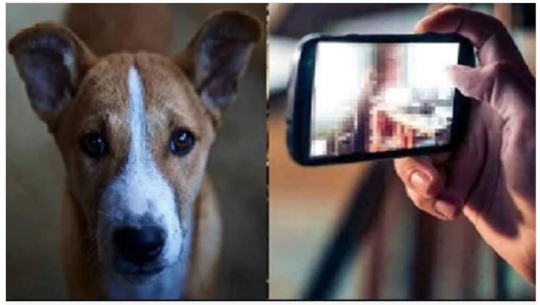 सांकेतिक तस्विर