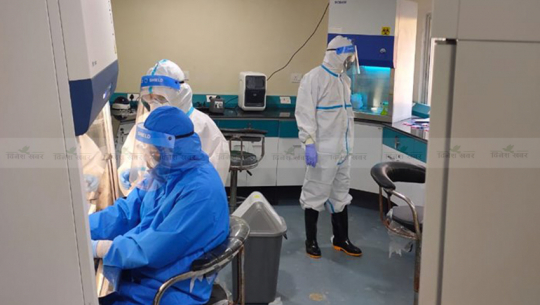 37,000 PCR tests conducted in Far West