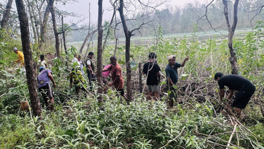 घोडाघोडी तालमा रहेको झार हटाइँदै