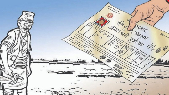 पैँतालिस परिवारले पाए लालपुर्जा