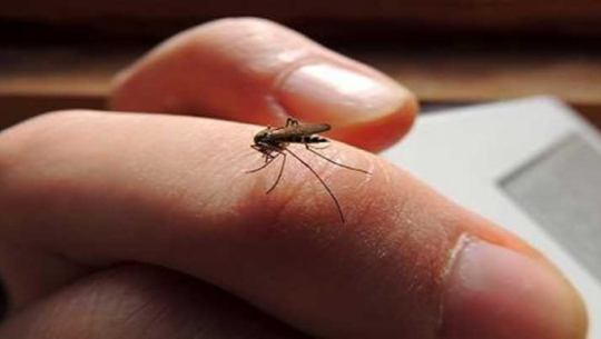 निवारण लक्ष्य नजिकिँदै गर्दा सुदूरपश्चिममा औलो पुनः बढ्दै